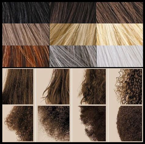 evolution concepts in hair & spa|evolution of human hair.